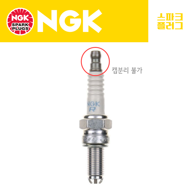 확대이미지